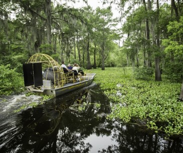 Excursion dans les bayous - Office du tourisme des USA