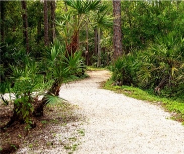 The Calusa Nature Center & Planetarium - Office du tourisme des USA