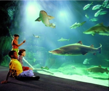 Aquarium and Marine Science Center - Office du tourisme des USA