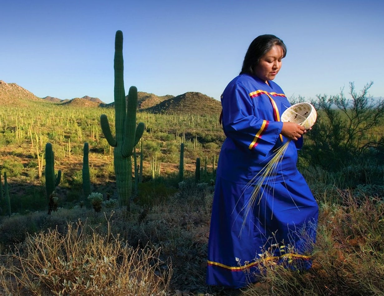 Tucson's Hidden Gem: Exploring the Rich History and Culture of the Tohono O'odham Nation