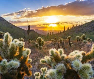 Découvrez le luxe des grands espaces à Scottsdale – Arizona ! - Office ...